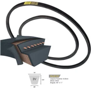 César Store - Desde 1932 39 Correia 3V