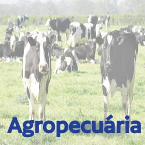 Agropecuária