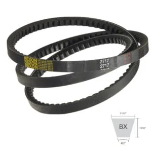 Correia Bx Dentada