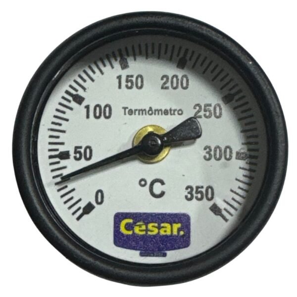 Termometro 050Mm 350C H200Mm 1/4 Npt Ang Cesar